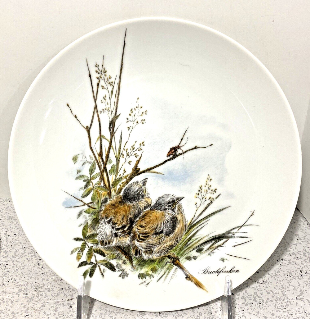 Vintage Kaiser W Germany Fine Porcelain Nature Bird Decor Plate Buchfinken Finch